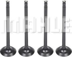 MAHLE VA0031617 - Soupape d'admission droxauto.com