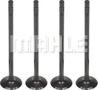 MAHLE VA0181606 - Soupape d'admission droxauto.com