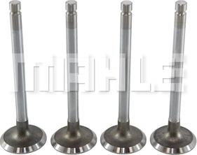 MAHLE VA0250002 - Soupape d'admission droxauto.com