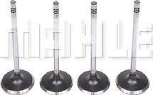 MAHLE VA0251614 - Soupape d'admission droxauto.com
