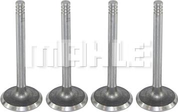 MAHLE VA0700017 - Soupape d'admission droxauto.com