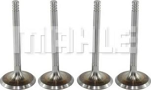 MAHLE VA0700088 - Soupape d'admission droxauto.com