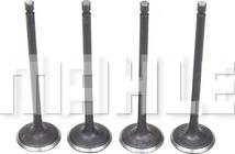 MAHLE VA2081417 - Soupape d'admission droxauto.com