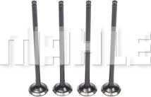 MAHLE VE5511555 - Soupape d'émission droxauto.com