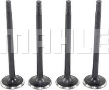 MAHLE VE0480251 - Soupape d'émission droxauto.com