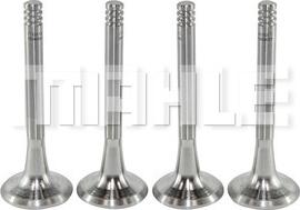 MAHLE VE0590065 - Soupape d'émission droxauto.com