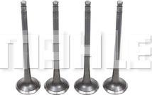 MAHLE VE0031618 - Soupape d'émission droxauto.com