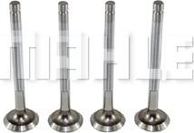 MAHLE VE0250001 - Soupape d'émission droxauto.com