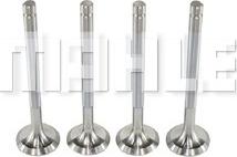 MAHLE VE0250019 - Soupape d'émission droxauto.com