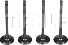 MAHLE VE0251615 - Soupape d'émission droxauto.com