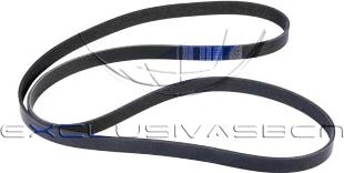 MDR MRB-571930 - Courroie trapézoïdale à nervures droxauto.com