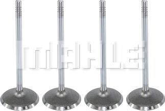 METAL LEVE VA0590174 - Soupape d'admission droxauto.com