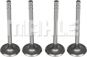 METAL LEVE VA0140104 - Soupape d'admission droxauto.com