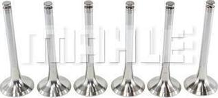 METAL LEVE VA0130099 - Soupape d'admission droxauto.com