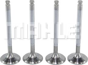 METAL LEVE VA0250162 - Soupape d'admission droxauto.com