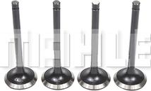 METAL LEVE VE0630214 - Soupape d'émission droxauto.com