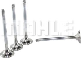 METAL LEVE VE0010212 - Soupape d'émission droxauto.com