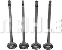 METAL LEVE VE0181607 - Soupape d'émission droxauto.com