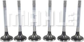 METAL LEVE VE0130098 - Soupape d'émission droxauto.com