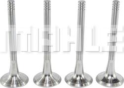 METAL LEVE VE0700016 - Soupape d'émission droxauto.com