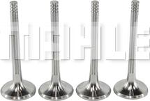 METAL LEVE VE0700087 - Soupape d'émission droxauto.com