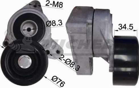 MICHELIN EngineParts SMAMP06303 - Tendeur de courroie, courroie trapézoïdale à nervures droxauto.com