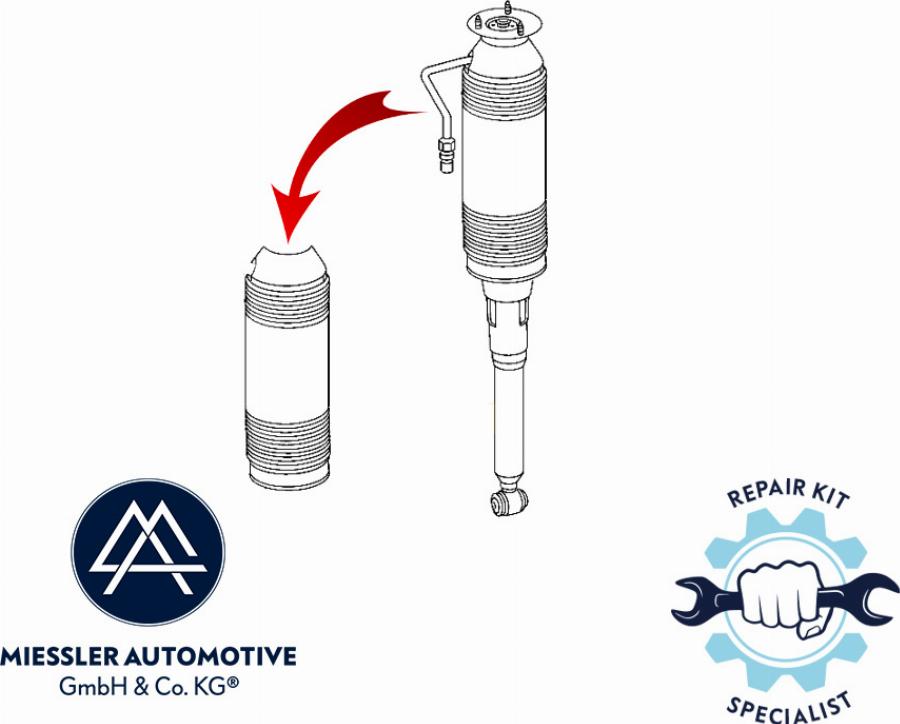 MiesslerAutomotive MA-0000084 - Kit de protection contre la poussière, amortisseur droxauto.com