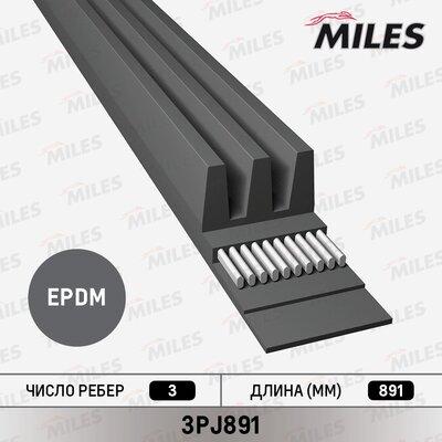 Miles 3PJ891 - Courroie trapézoïdale à nervures droxauto.com