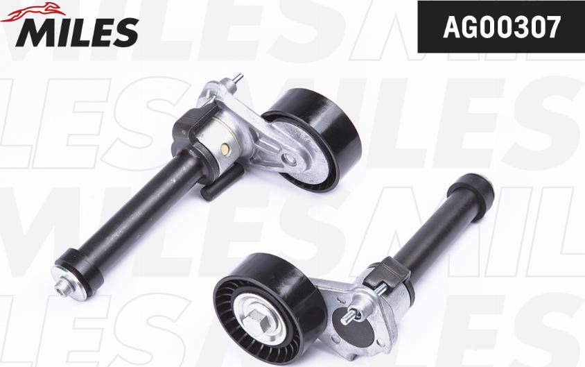 Miles AG00307 - Tendeur de courroie, courroie trapézoïdale à nervures droxauto.com