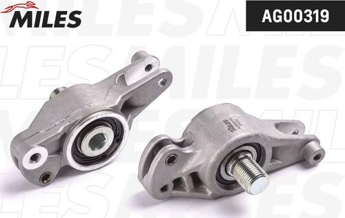 Miles AG00319 - Tendeur de courroie, courroie trapézoïdale à nervures droxauto.com