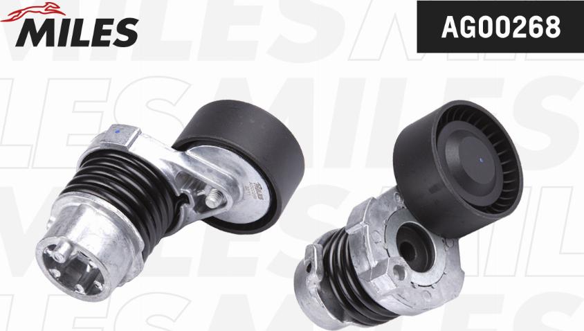 Miles AG00268 - Tendeur de courroie, courroie trapézoïdale à nervures droxauto.com