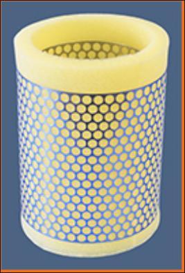 Champion CAF100165R - Filtre à air droxauto.com