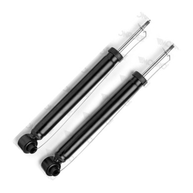 MONROE E1355 - Amortisseur droxauto.com