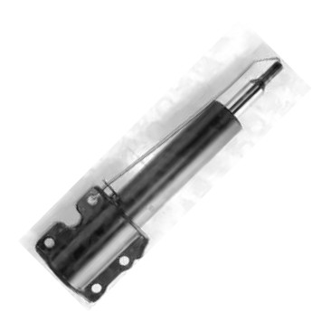 Delphi D22510080 - Amortisseur droxauto.com