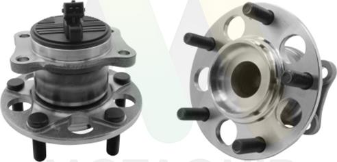 Motaquip LVBW1831 - Kit de roulements de roue droxauto.com