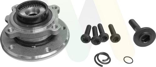 Motaquip LVBW1704 - Kit de roulements de roue droxauto.com