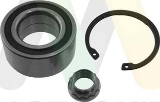 Motaquip LVBW710 - Kit de roulements de roue droxauto.com