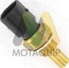 Motaquip LVCT434 - Sonde de température, liquide de refroidissement droxauto.com
