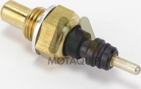 Motaquip LVCT365 - Sonde de température, liquide de refroidissement droxauto.com
