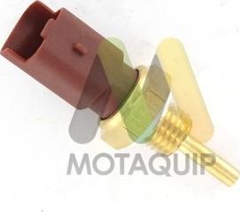 Motaquip LVCT318 - Sonde de température, liquide de refroidissement droxauto.com