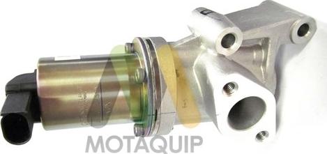 Motaquip LVER313 - Vanne EGR droxauto.com
