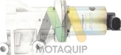 Motaquip LVER202 - Vanne EGR droxauto.com