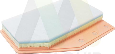 Motaquip LVFA1664 - Filtre à air droxauto.com