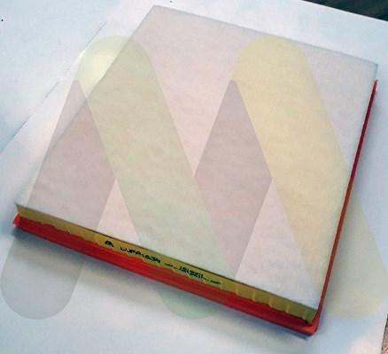 Motaquip LVFA1638 - Filtre à air droxauto.com