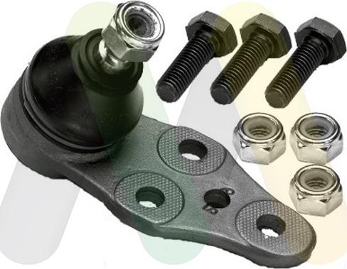 Motaquip LVSJ485 - Rotule de suspension droxauto.com