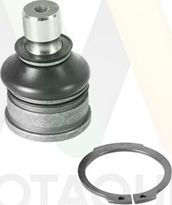 Motaquip LVSJ1161 - Rotule de suspension droxauto.com