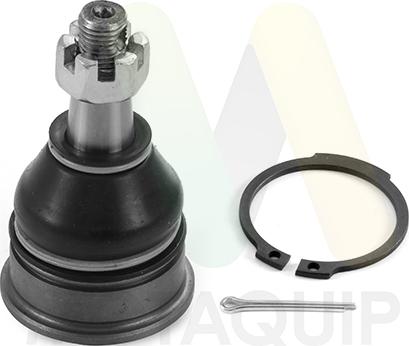 Motaquip LVSJ1298 - Rotule de suspension droxauto.com