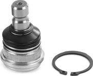 Motaquip LVSJ1240 - Rotule de suspension droxauto.com