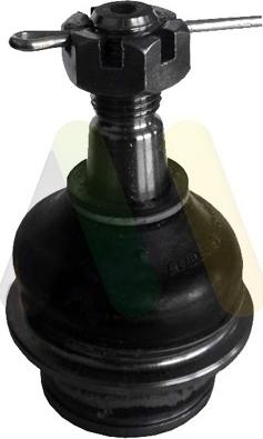 Motaquip LVSJ1207 - Rotule de suspension droxauto.com