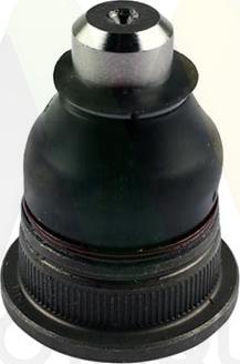 Motaquip LVSJ1283 - Rotule de suspension droxauto.com